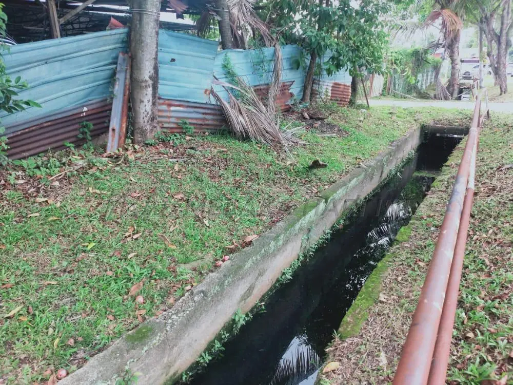 Mengaku Cuba Campak Anak Ke Dalam Longkang, Peguam Dedah Ibu Tunggal Kemurungan