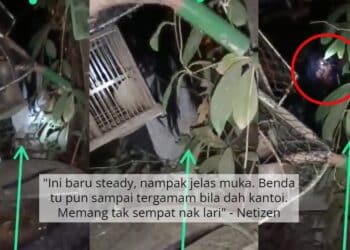 Peminat ‘Frust’, Kak Yatie Naik Flight Sama Tapi Tak Kenal Siapa Lee Jae-Wook