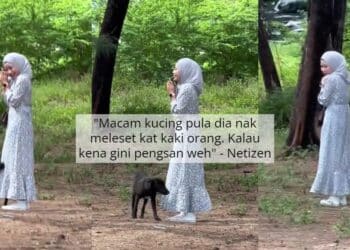 Anjing Ajak Bermanja, Tapi Gadis Terlalu ‘Cuak’ Sampai Kaki Kejung Nak Lari