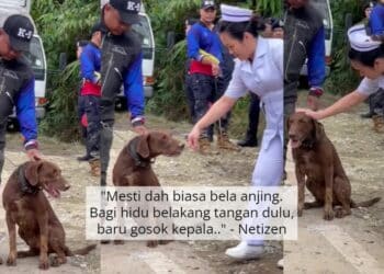 Ibu Panik Diusik Anak, Percaya Hampir Bertembung Lori Yang Sedang Melawan Arus