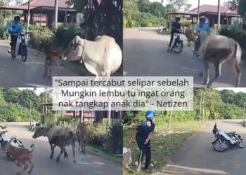 Meski Pengantin Diuji Terlantar Akibat Nahas, Wanita Dipuji Sudi Teruskan Nikah