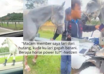 Pengantin Lelaki Dirangkul Erat ‘Tetamu Wanita’, Si Isteri Sampai Terduduk..