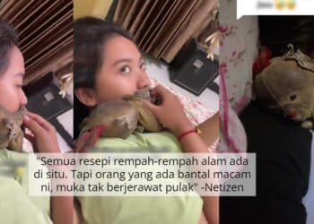 Susulan Pendedahan Jep, Viral Semula Klip Mohon Maaf & Scene Parut Kelapa Shuib