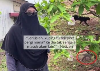 Kongsi Rahsia Banyak Doa Hubungan Dengan Madu, Ramai Puji Adira Tak Overshadow