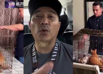 Rujuk Lepas 2 Minggu Berpisah, Beego & Isteri Batalkan Tuntutan Hak Jagaan Anak