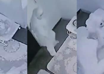 Pelajar Sekolah Elit Tamatkan Hayat Diri, Keluarga Curiga CCTV Rosak Serentak