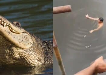 Qistina Raisah Dibuang Sekolah Semasa Darjah 1 Sebab Sibuk “Shooting”