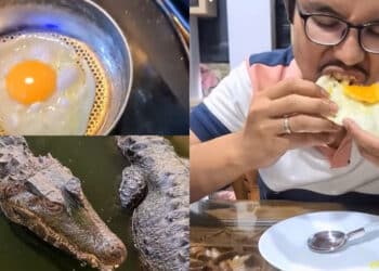 Budak 3 Tahun Pecah Organ, Dikasari BF Ibu Kerana Muntah Atas Sofa Kesayangan