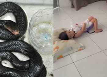 Sindir Orang Kampung Tak Cantik, Pelajar Universiti Menangis Dihalau Penduduk