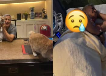 Permohonan Maaf  Ditangguhkan, Amelia Henderson Akui Tak Letak Harapan