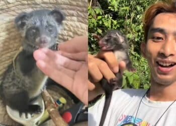 Kesal Ajakan Bersama Ditolak, Bapa Mentua Tamatkan Hayat Menantu Hamil 7 Bulan