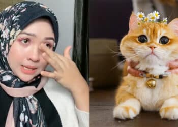 Menanti Hari Bersalin, Bayi Dijemput Ilahi Akibat Terkena Virus Daripada Kucing