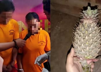 Menanti Hari Bersalin, Bayi Dijemput Ilahi Akibat Terkena Virus Daripada Kucing