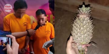 Buat Roti Fresh Tapi Suami Enggan Rasa, Isteri Hamil Menangis Jamah Sendirian