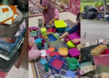 Menanti Hari Bersalin, Bayi Dijemput Ilahi Akibat Terkena Virus Daripada Kucing