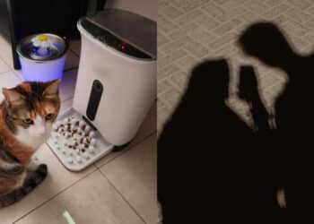 Ramai Galak Buat Andaian Melulu, Datuk Rayyan Merayu Agar Netizen Tutup Mulut