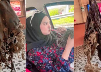 Setia Dari 1998, Wanita Sukar Berpisah Dengan Bantal Busuk Walau Dah Lunyai