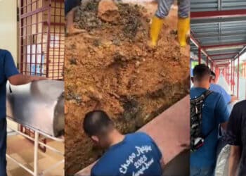 Anak Kerap Buat Onar, Ayah Mahu Lumpuhkan & Rela Jaga Namun Teraniaya ‘Tewas’