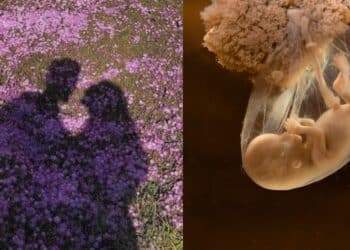 ‘Usahawan Berjaya’ Rupanya Hidup Susah & Banyak Hutang, Isteri Buat Pendedahan