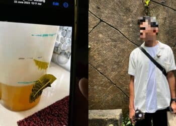 [VIDEO] Wajah Kacak Anak Liza Abdullah Jadi Perhatian, Ramai Sangkakan Tomok