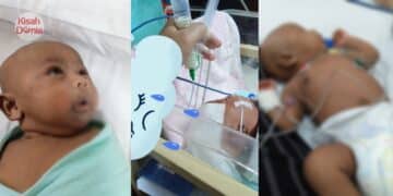 [SABAH] Rangka Manusia Ditemui Di Kuaters Guru Yang Sudah Terbiar Selama 5 Tahun