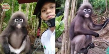 Mahu Agih Harta Pusaka, Bapa Usia 70 Tahun Baru Tahu 4 Anak Bukan Zuriat Kandung