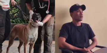 Diejek Anak Pungut Dari Kecil, Wanita Meraung Tahu Diri Anak Angkat Pada Usia 25