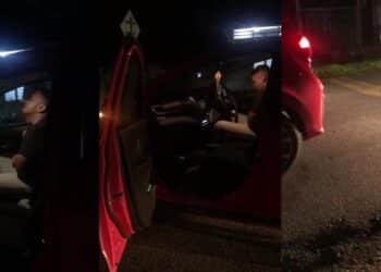 Unta Bernama Bashar & Bashir Terlepas Ke Jalan Besar, Pemilik Dedah Hal Sebenar