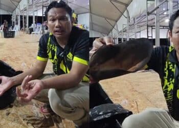 Enggan Bercerai, Suspek Rupanya Berkali Ugut Isteri Sejak Lebih Setahun Lalu
