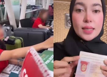 Unta Bernama Bashar & Bashir Terlepas Ke Jalan Besar, Pemilik Dedah Hal Sebenar