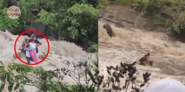 Tangisan Ayah Datang Naik Motor Tua, Jemput Pulang Anak Perempuan Dikasari Suami