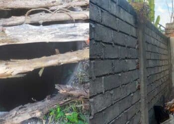 Penghuni Pelik Kucing Banyak Hilang, Rupanya Pemilik Rumah Sewa Tangkap & Makan