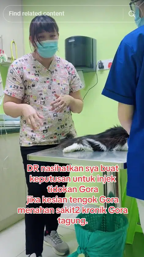 “Kakak Balik Nak” – Gadis Terbang Dari Overseas Demi Kucing Yang Bakal Pergi