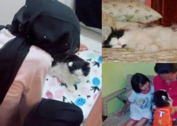 Hilang Sejak 2023, Rupanya Guru Telah Pergi Selamanya “Moga Ada Pembelaan”