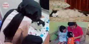 Kucing Kemurungan Lepas Pemergian Tuannya, Anak Bawak Oyen Lawat Kubur Bapa