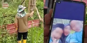 Pekebun Rupanya Difitnah, 2 Beradik Termakan Keropok Beracun Sudah Lama Terabai