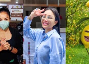 Dipisahkan Kepada 59 Bahagian, Tubuh Wanita Ditemui Dalam Peti Sejuk Rumahnya