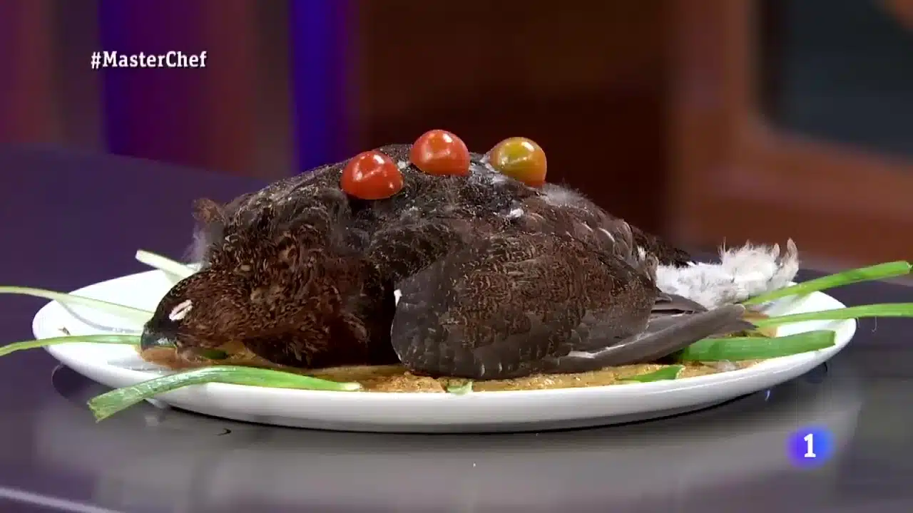 Panas Hati Dengan Juri, Peserta Masterchef Hidang Burung Mentah & Masih Berbulu