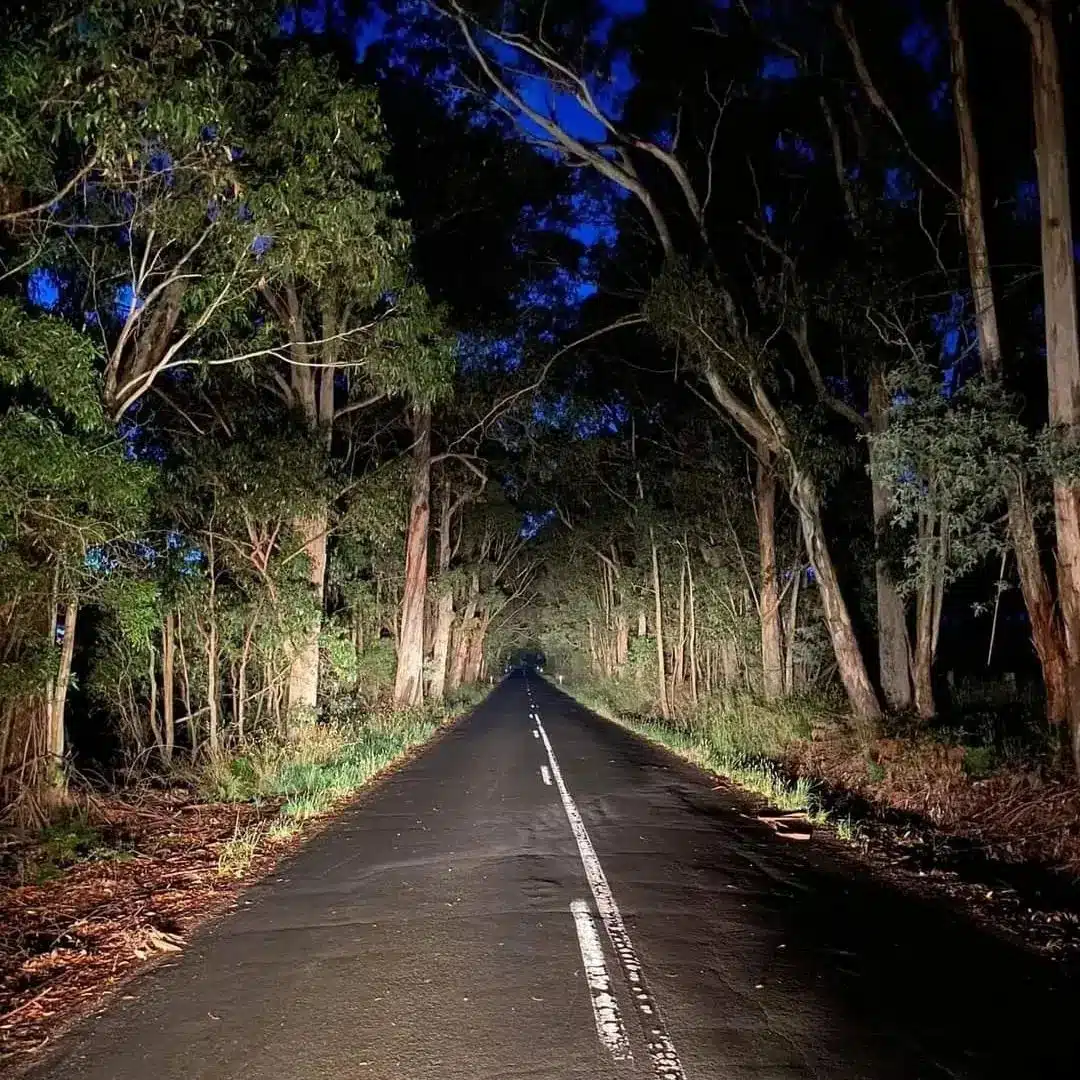 Misteri Kampung Ayah, Penduduk Hanya Tenung Bila Selisih, Wajib Datang Malam