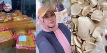 [JOHOR] Adik Bawa Abang Alzheimer Pergi Pejabat Tanah Tukar Hak Milik Rumah
