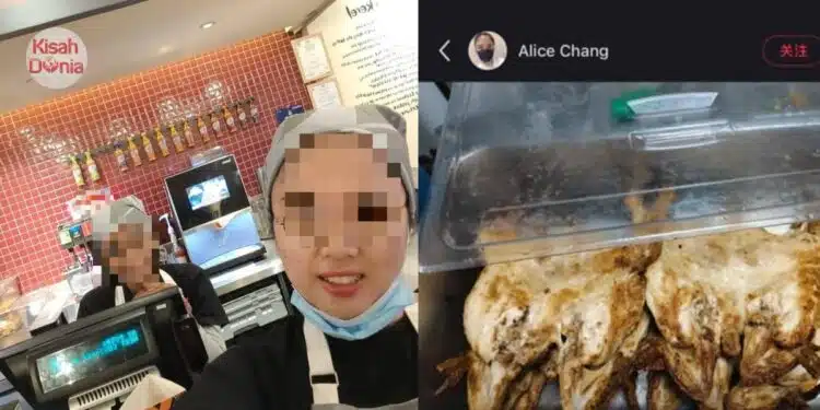 Baru Mula Kerja Di Restoran Ayam Grill Popular, Alice Chang Dipecat Di Hari Sama