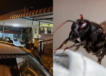 Sering Pamer Kebahagiaan Dengan Ibu Mentua, Rupanya Influencer Derita Dalam Diam