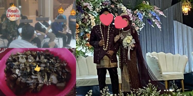 Budak Katering Bawa Lari Makanan Kenduri Kahwin, Hidang Lauk Basi Kepada Tetamu