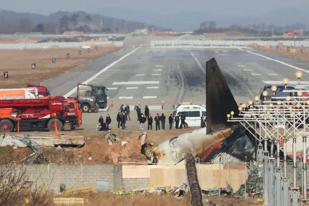 9 Sekeluarga Terlibat Nahas Jeju Air, Pudding Berkeliaran Tunggu Tuannya Pulang