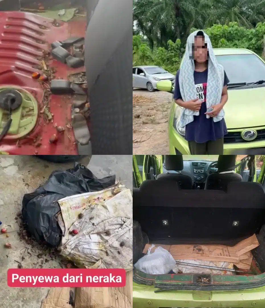 Kereta Sewa ‘Rabak’, Kemek & Dipenuhi Kesan Lecak, Penyewa Buat Angkut Sawit