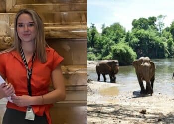 Saudara Pelik Tubuh Berubah, Gadis OKU Rupanya Hamil 6 Bulan ‘Digilir’ 9 Lelaki