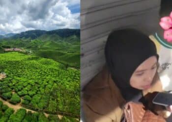 Netizen Terkejut Dengan Bayaran Reviu Cik Epal, Ada Yang Kata Tidak Berbaloi