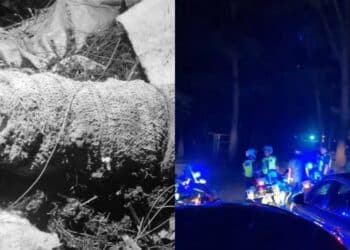 Netizen Terkejut Dengan Bayaran Reviu Cik Epal, Ada Yang Kata Tidak Berbaloi