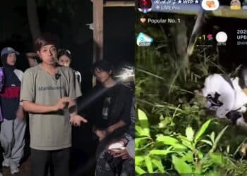 Influencer Malaysia Hilang Jam 2 Pagi Ketika Memasuki Hutan Di Indonesia