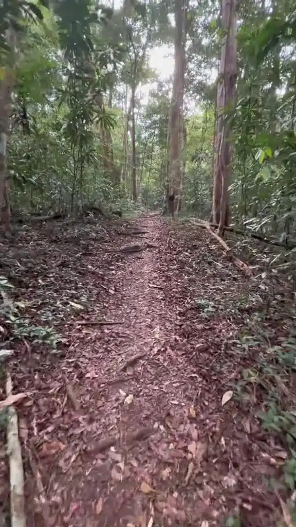 “Uk Ek Uk Ek, Hey Tengok Ni Cu” – Lelaki Hiking Gunung Diusik Suara Riuh Nenek